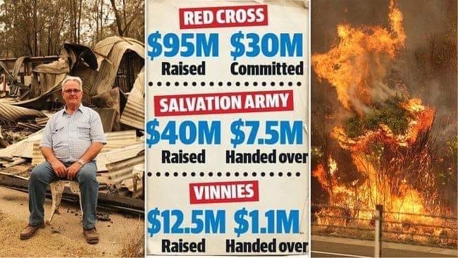 Celia Capace - The Australian Bushfire Crisis